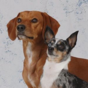 Meet your Posher, Katrina